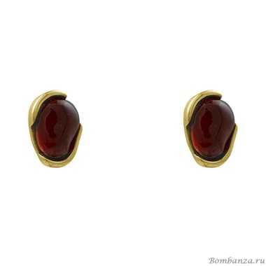 Пусеты Ciclon, DAILA MARRON A230609-02 R/G