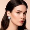 Серьги Fiore Luna,, AG210014E-002 S Серьги Fiore Luna,, AG210014E-002 S