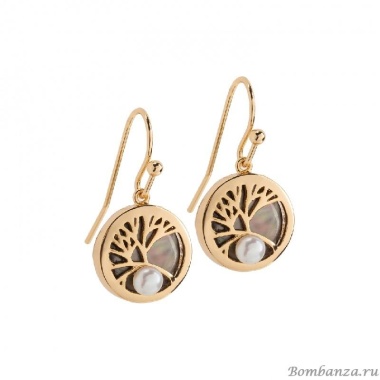 Серьги Fiore Luna AP3852E.2 BW/G