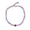 Колье Alcozer&J, с аметистом, AL-C38AL23-R фиолетовый