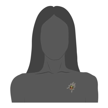 Брошь Moon Paris  Mo-1810-136_5569 серебристый 