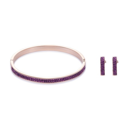 Серьги Coeur de Lion, Amethyst, 0214/21-0824. Германия