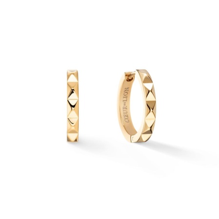 Серьги Coeur de Lion, Gold, 0135/21-1600